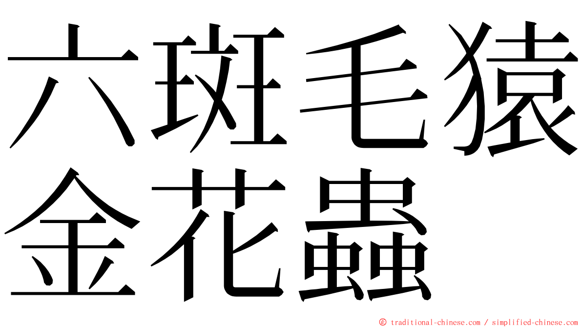 六斑毛猿金花蟲 ming font