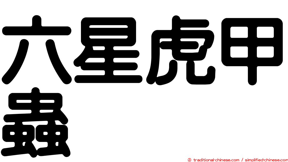 六星虎甲蟲