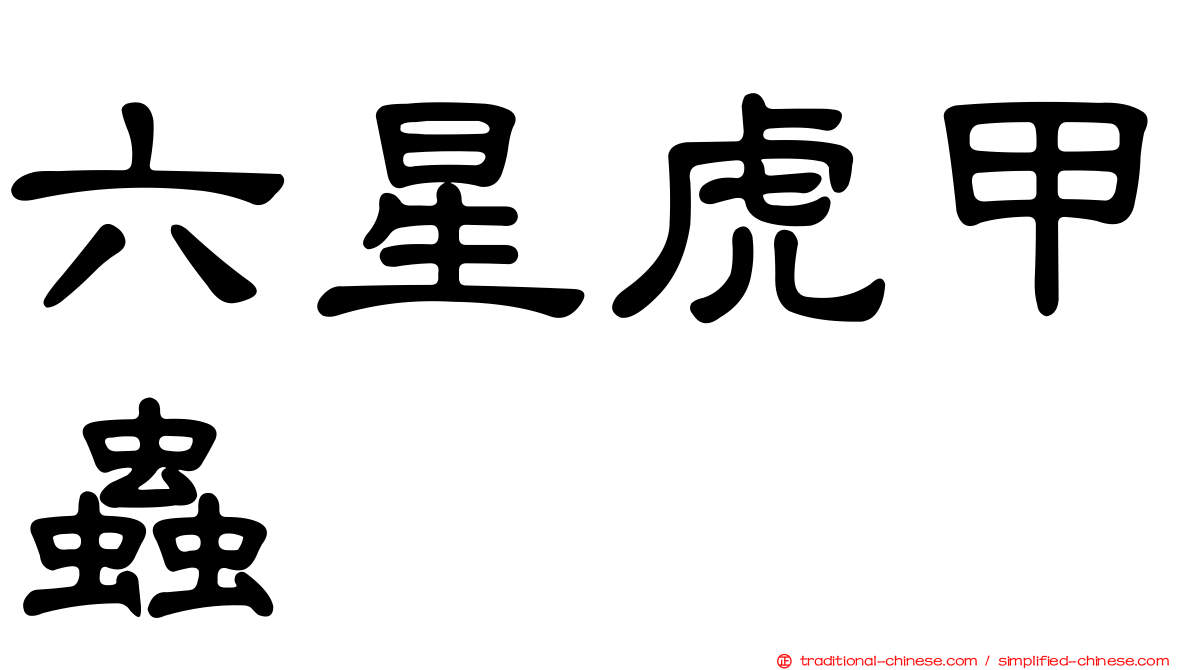 六星虎甲蟲