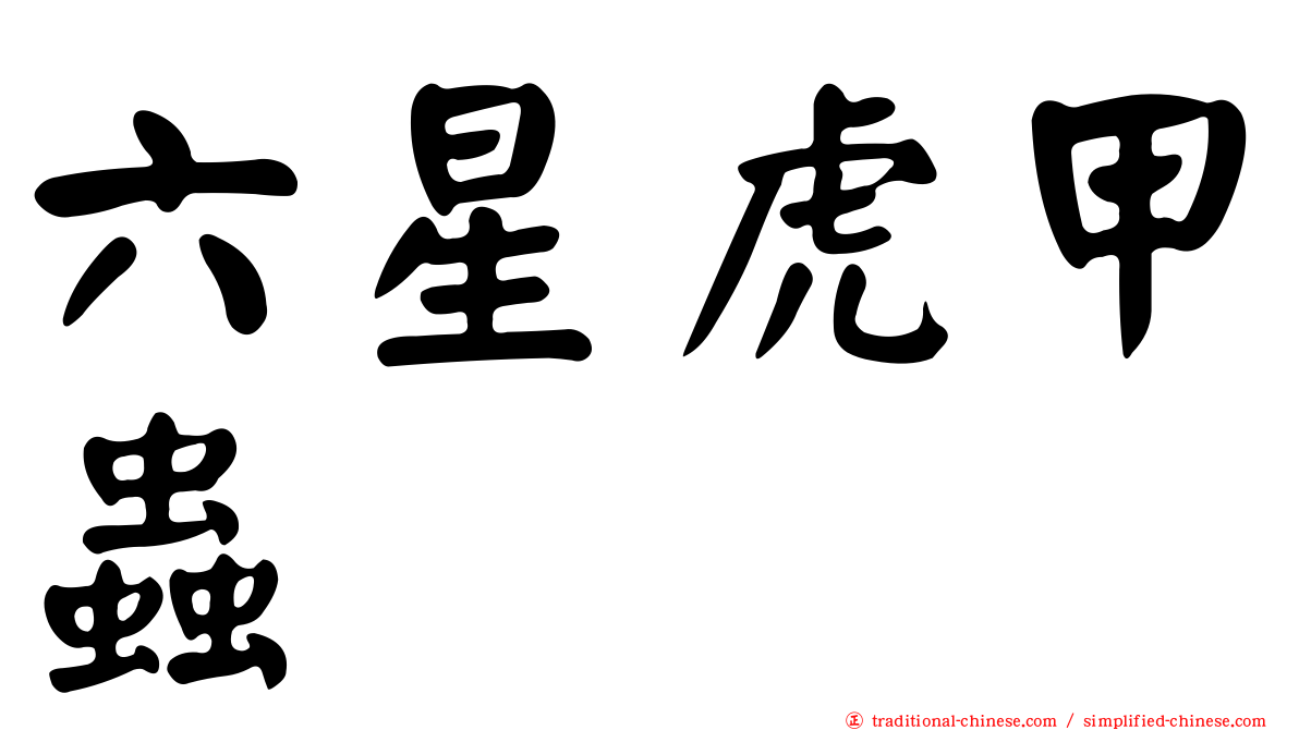 六星虎甲蟲