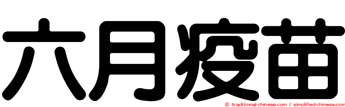 六月疫苗
