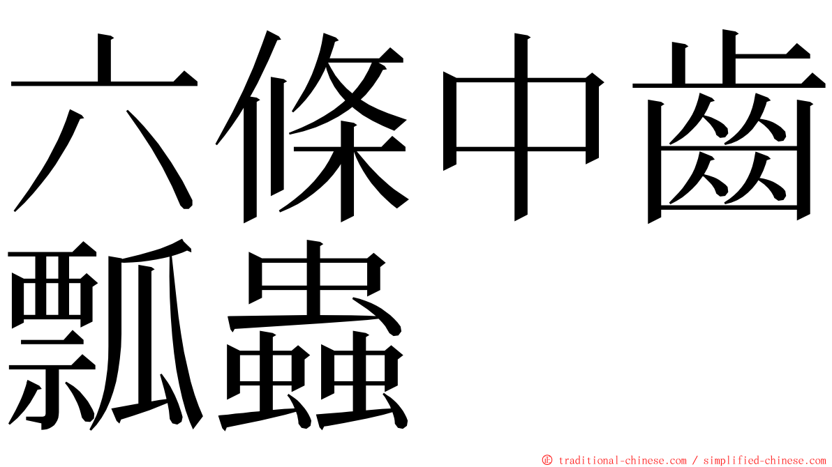 六條中齒瓢蟲 ming font