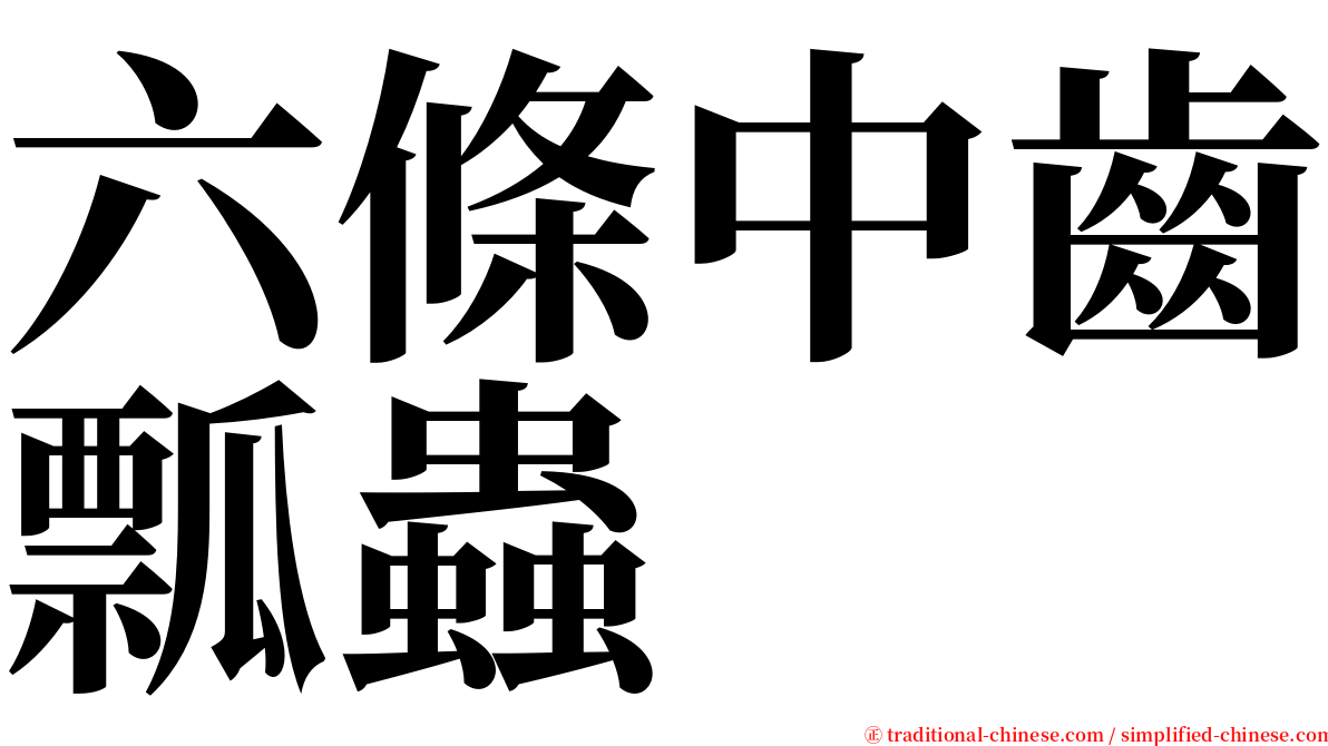 六條中齒瓢蟲 serif font