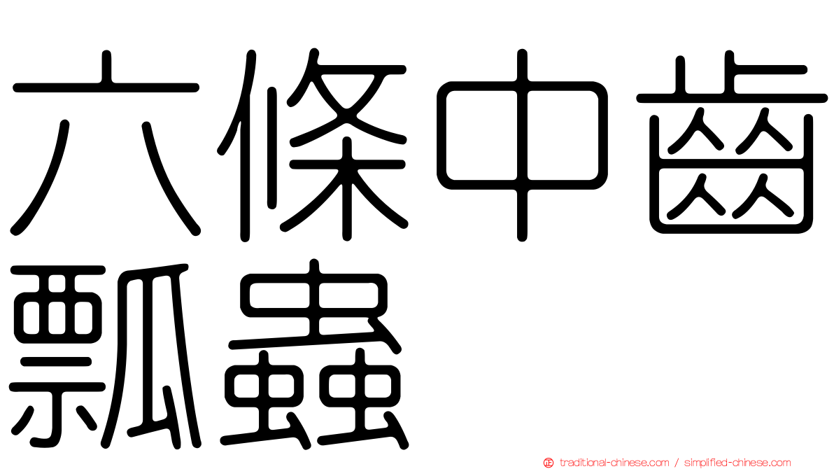 六條中齒瓢蟲