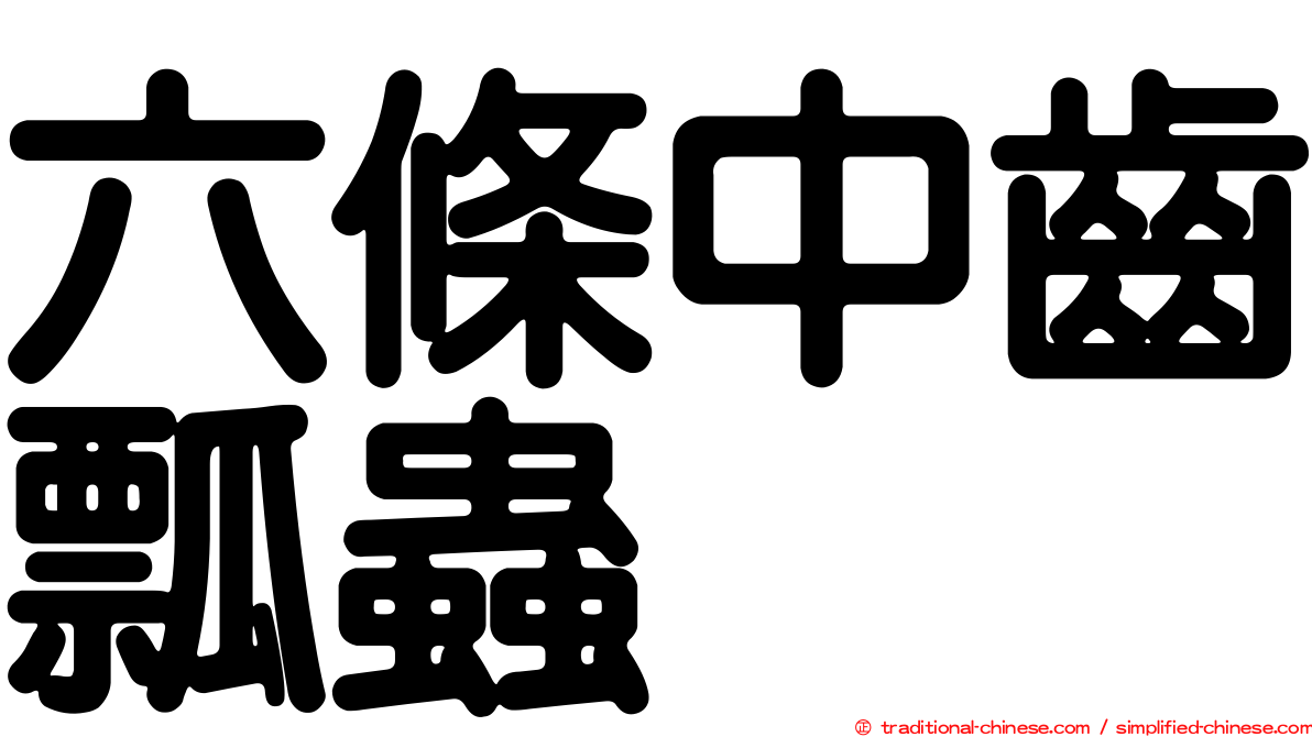 六條中齒瓢蟲