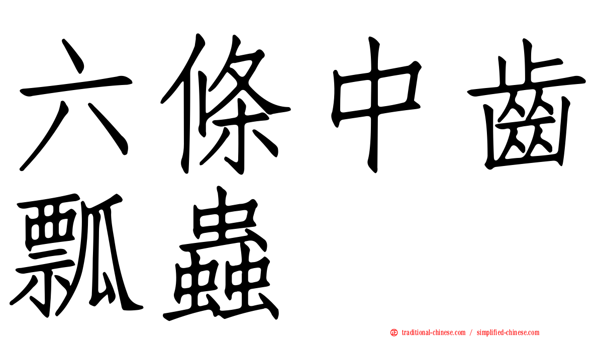 六條中齒瓢蟲