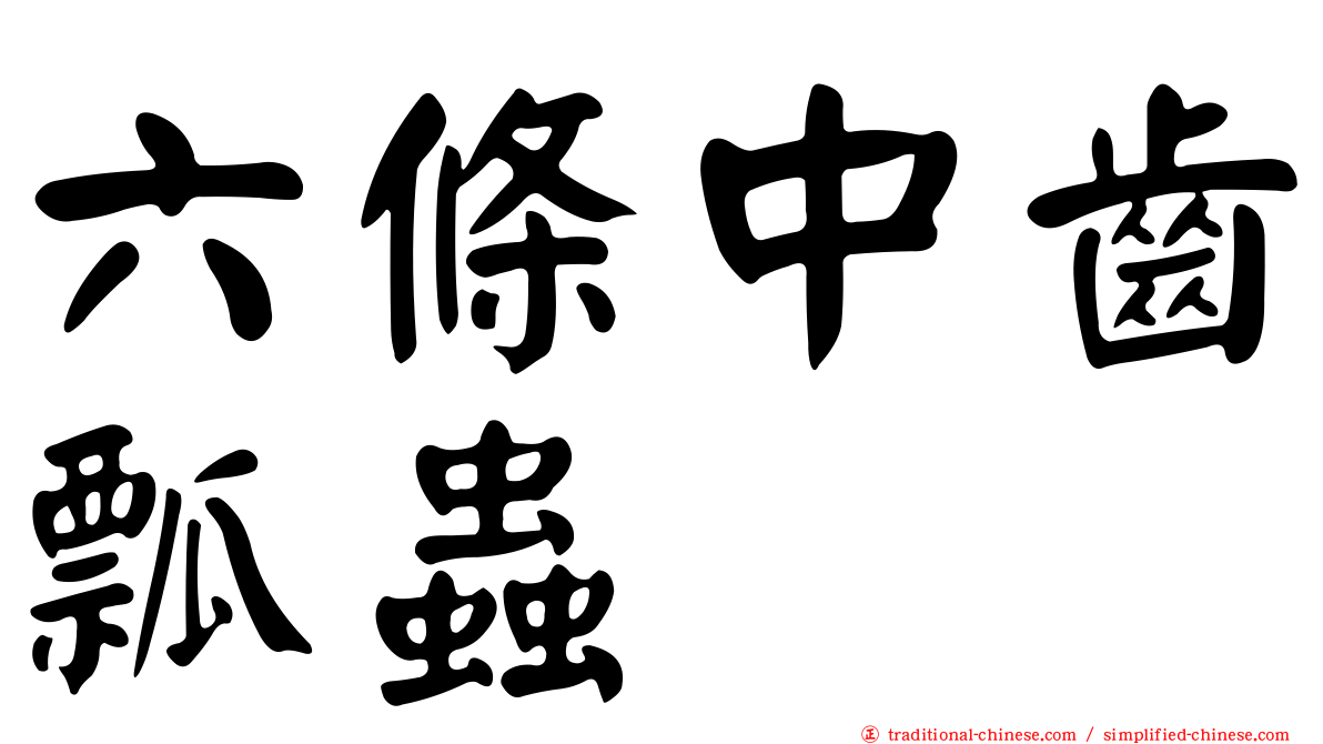 六條中齒瓢蟲