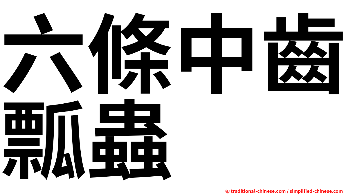 六條中齒瓢蟲