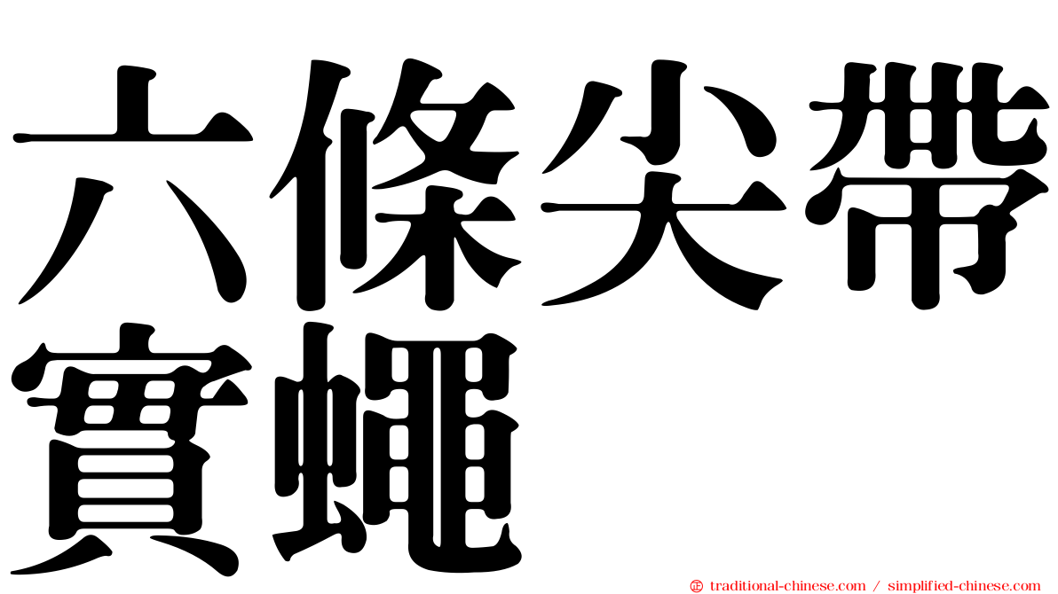 六條尖帶實蠅