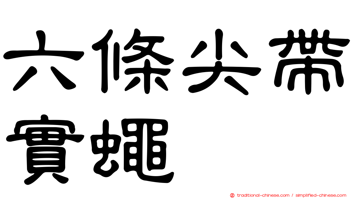 六條尖帶實蠅