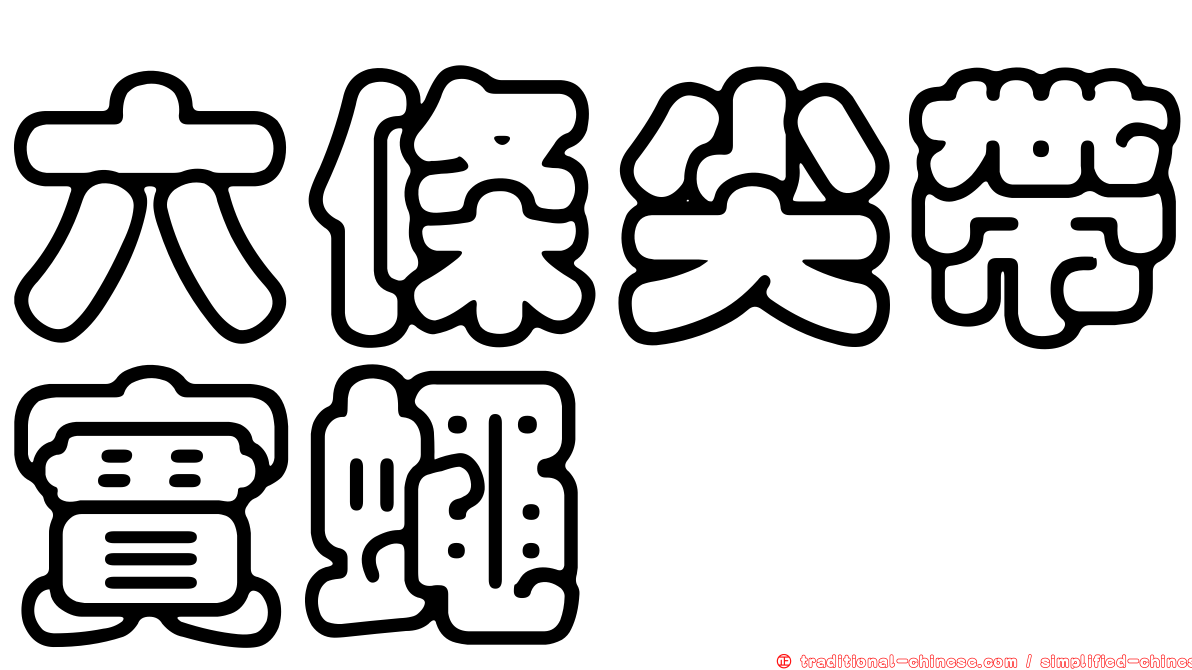 六條尖帶實蠅