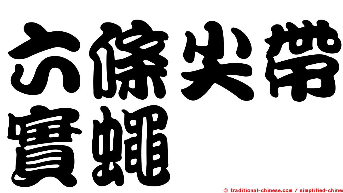 六條尖帶實蠅