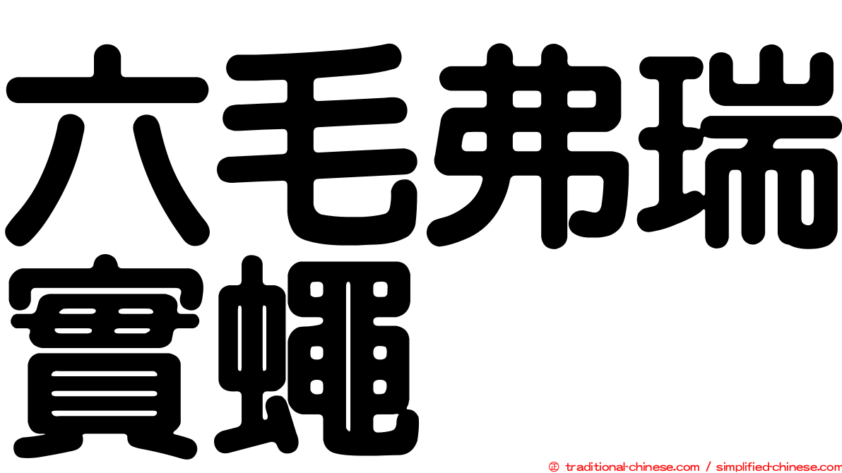 六毛弗瑞實蠅