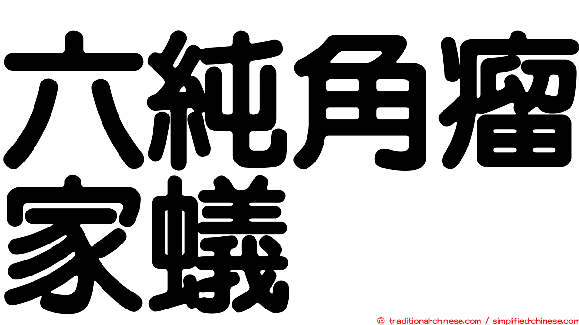 六純角瘤家蟻