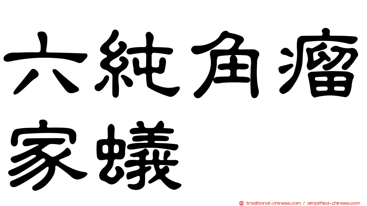 六純角瘤家蟻