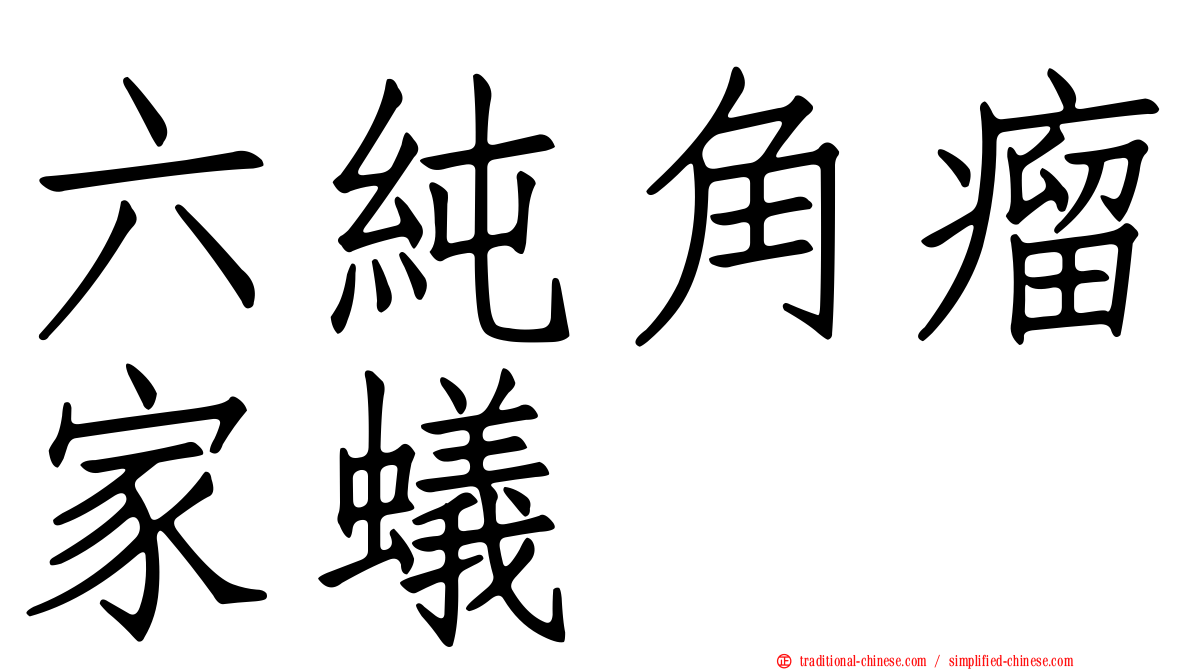 六純角瘤家蟻