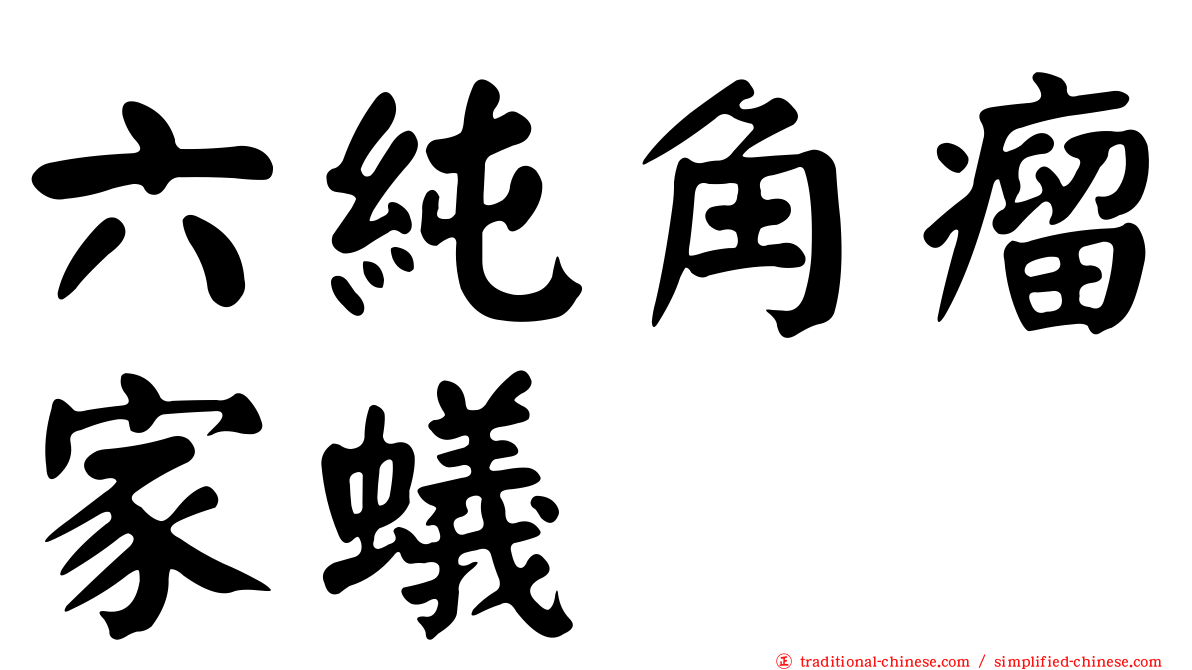 六純角瘤家蟻