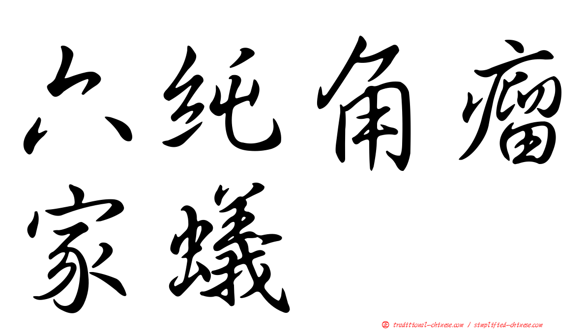 六純角瘤家蟻