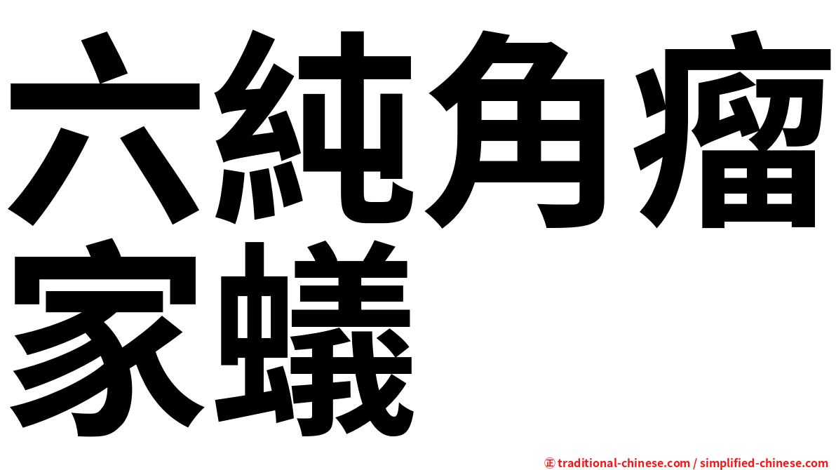六純角瘤家蟻