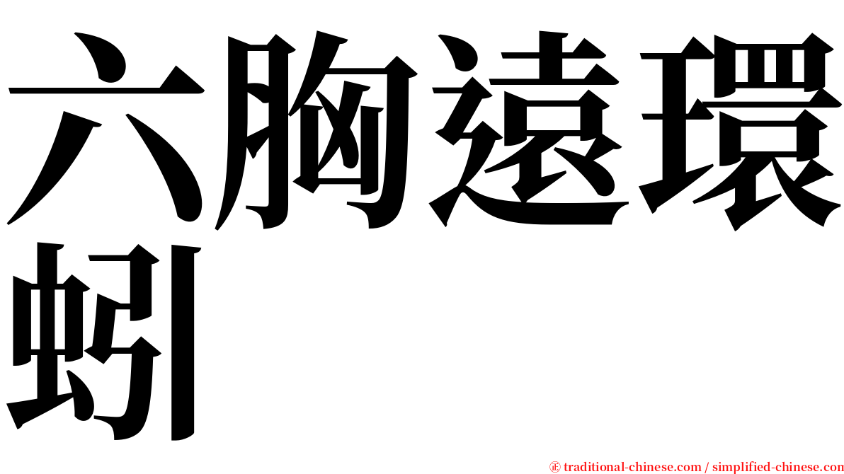 六胸遠環蚓 serif font