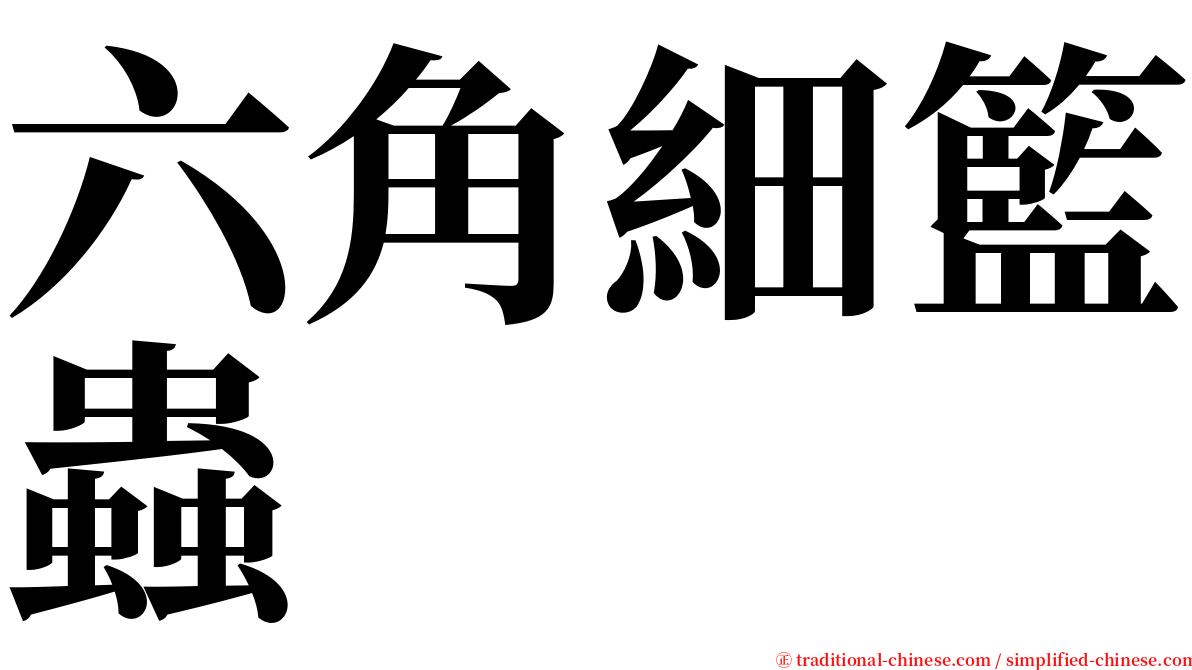六角細籃蟲 serif font