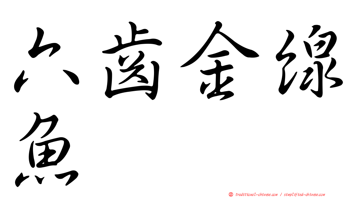 六齒金線魚