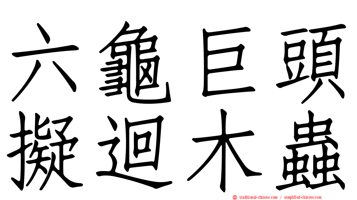 六龜巨頭擬迴木蟲