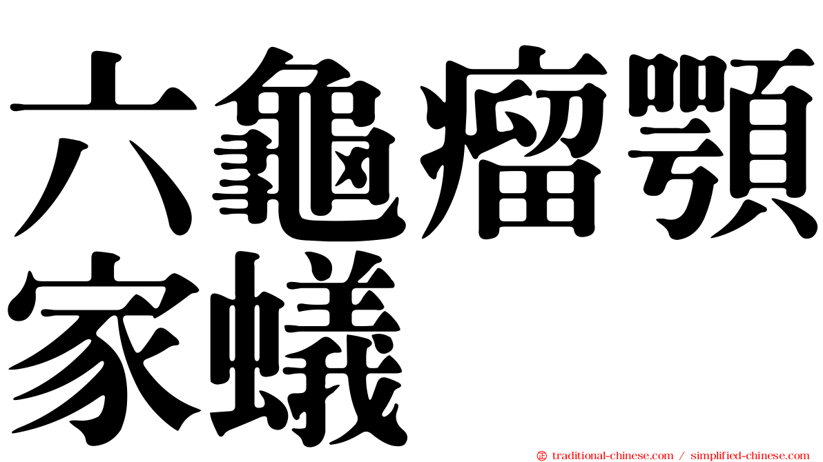 六龜瘤顎家蟻
