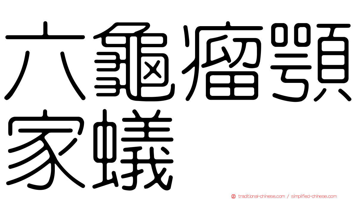 六龜瘤顎家蟻