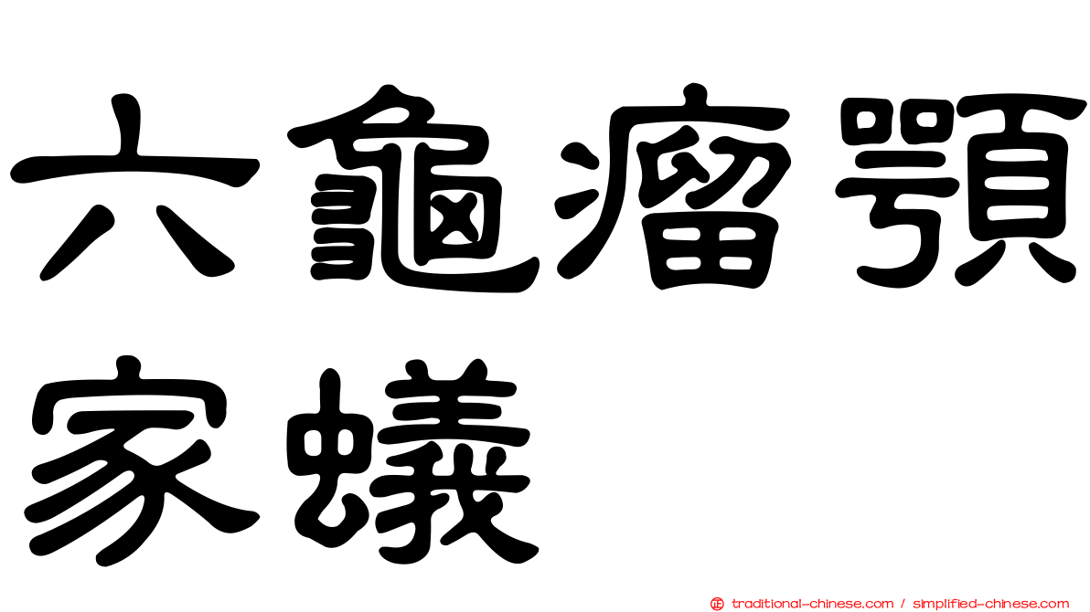 六龜瘤顎家蟻