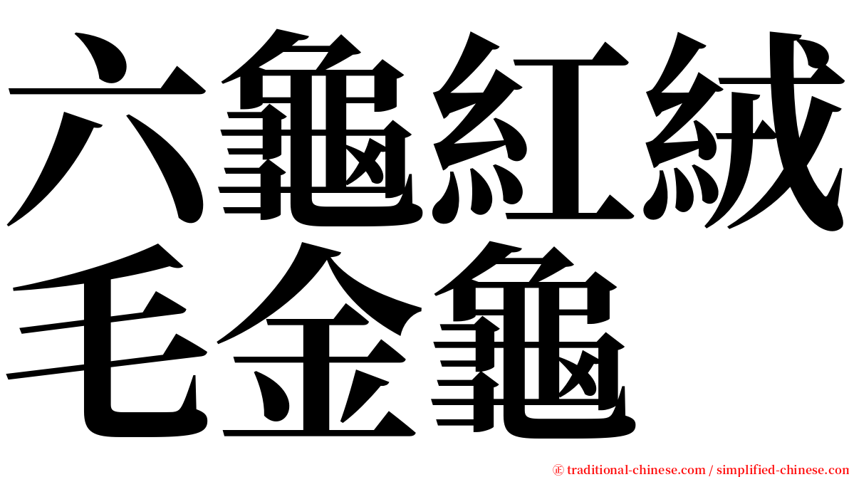 六龜紅絨毛金龜 serif font