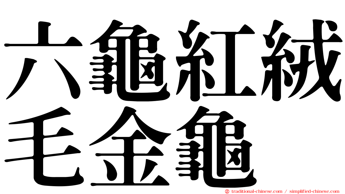 六龜紅絨毛金龜