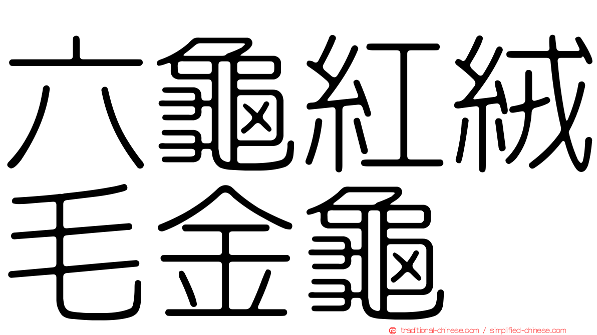 六龜紅絨毛金龜