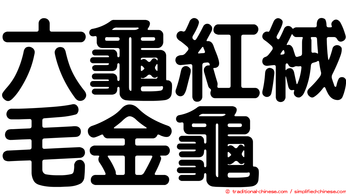 六龜紅絨毛金龜