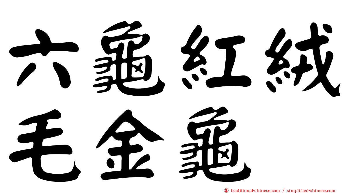 六龜紅絨毛金龜