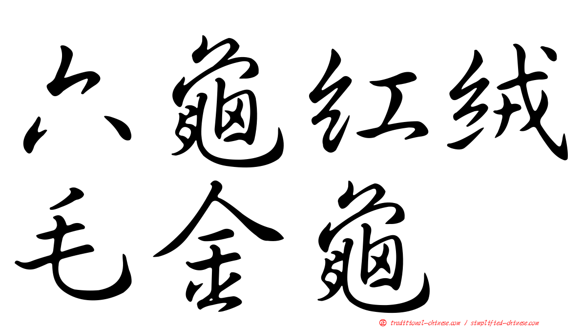 六龜紅絨毛金龜