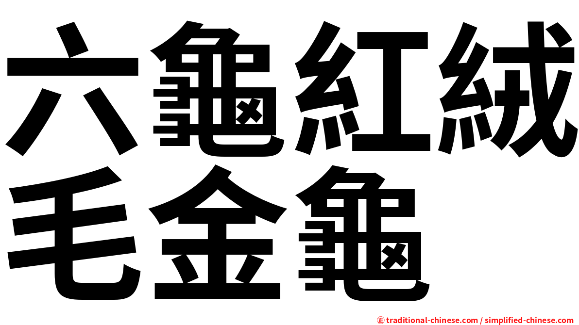 六龜紅絨毛金龜