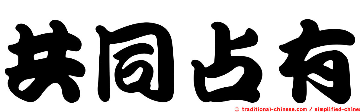共同占有