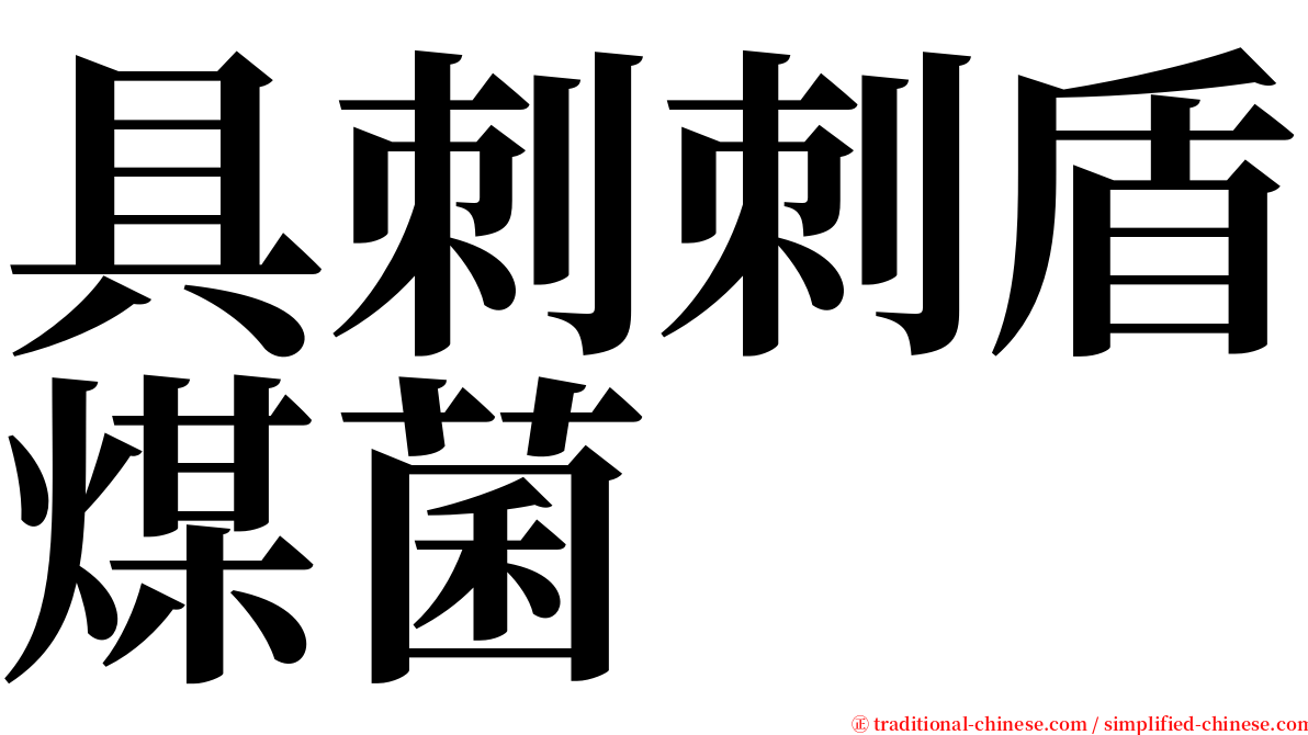 具刺刺盾煤菌 serif font