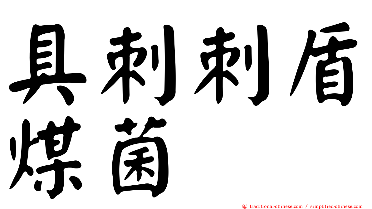 具刺刺盾煤菌
