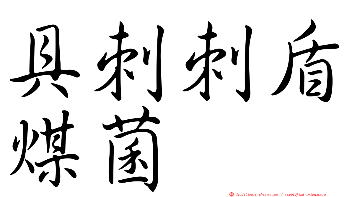 具刺刺盾煤菌