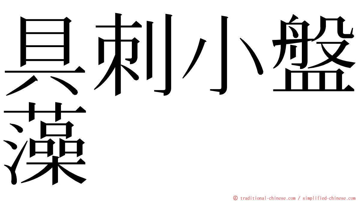 具刺小盤藻 ming font