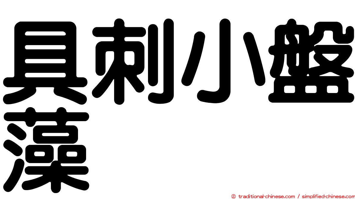 具刺小盤藻