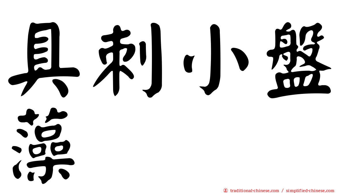 具刺小盤藻