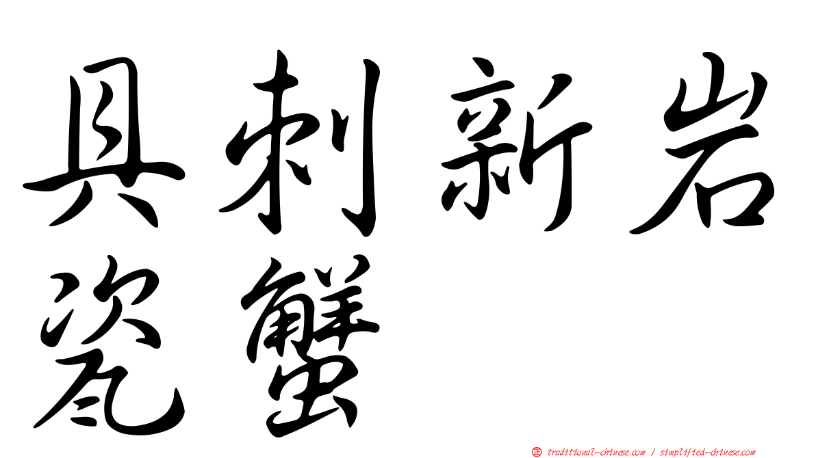 具刺新岩瓷蟹