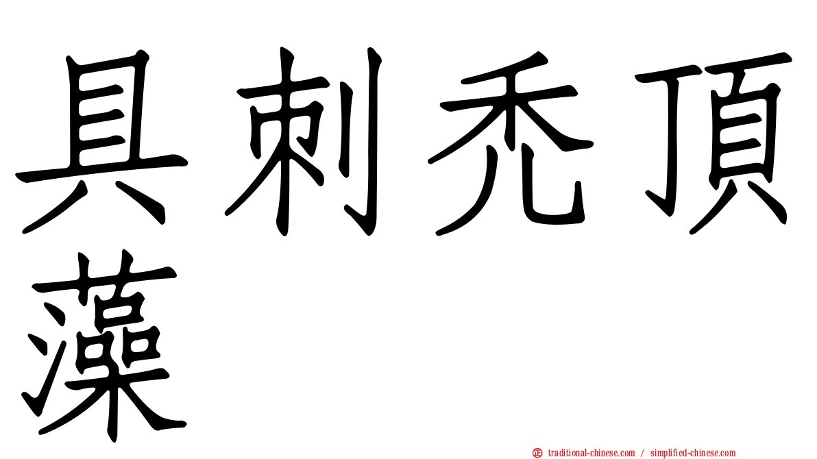 具刺禿頂藻