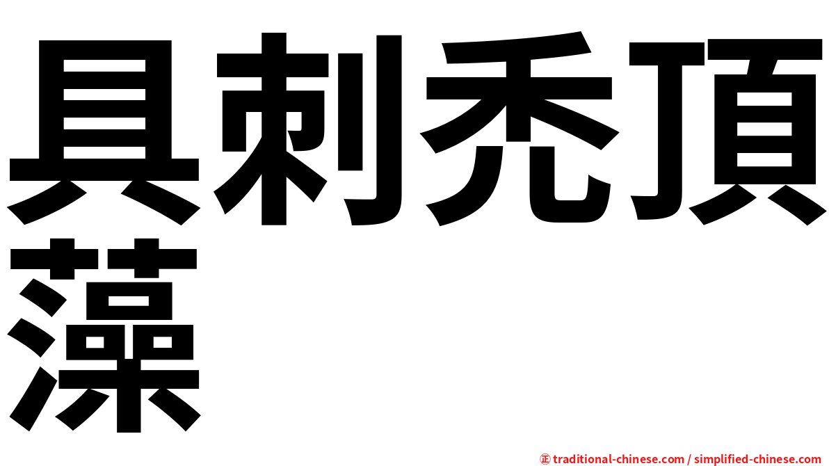 具刺禿頂藻