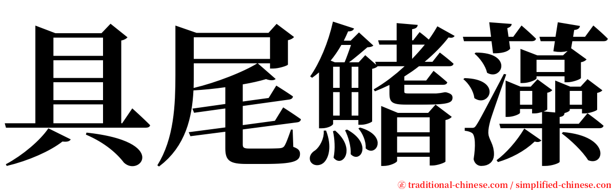 具尾鰭藻 serif font