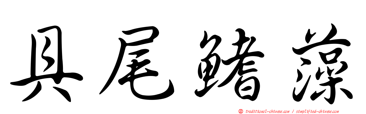 具尾鰭藻