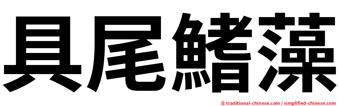 具尾鰭藻